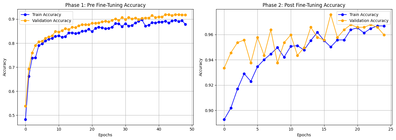 PimpleNet Inference Output